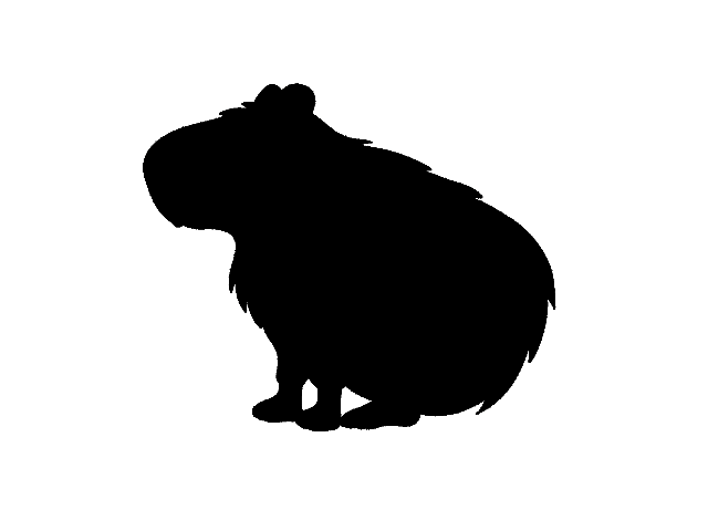 歯目の画像